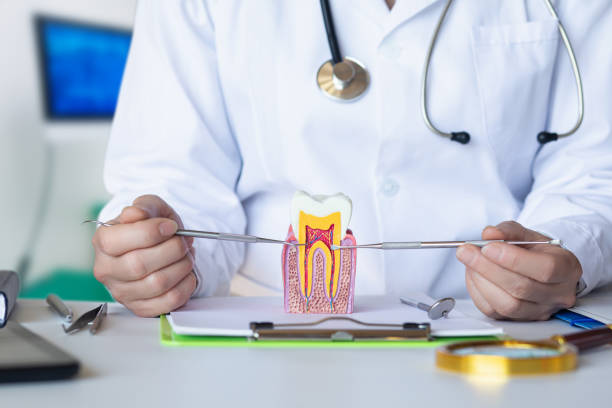 Best Holiday Emergency Dentist in Cornish, ME